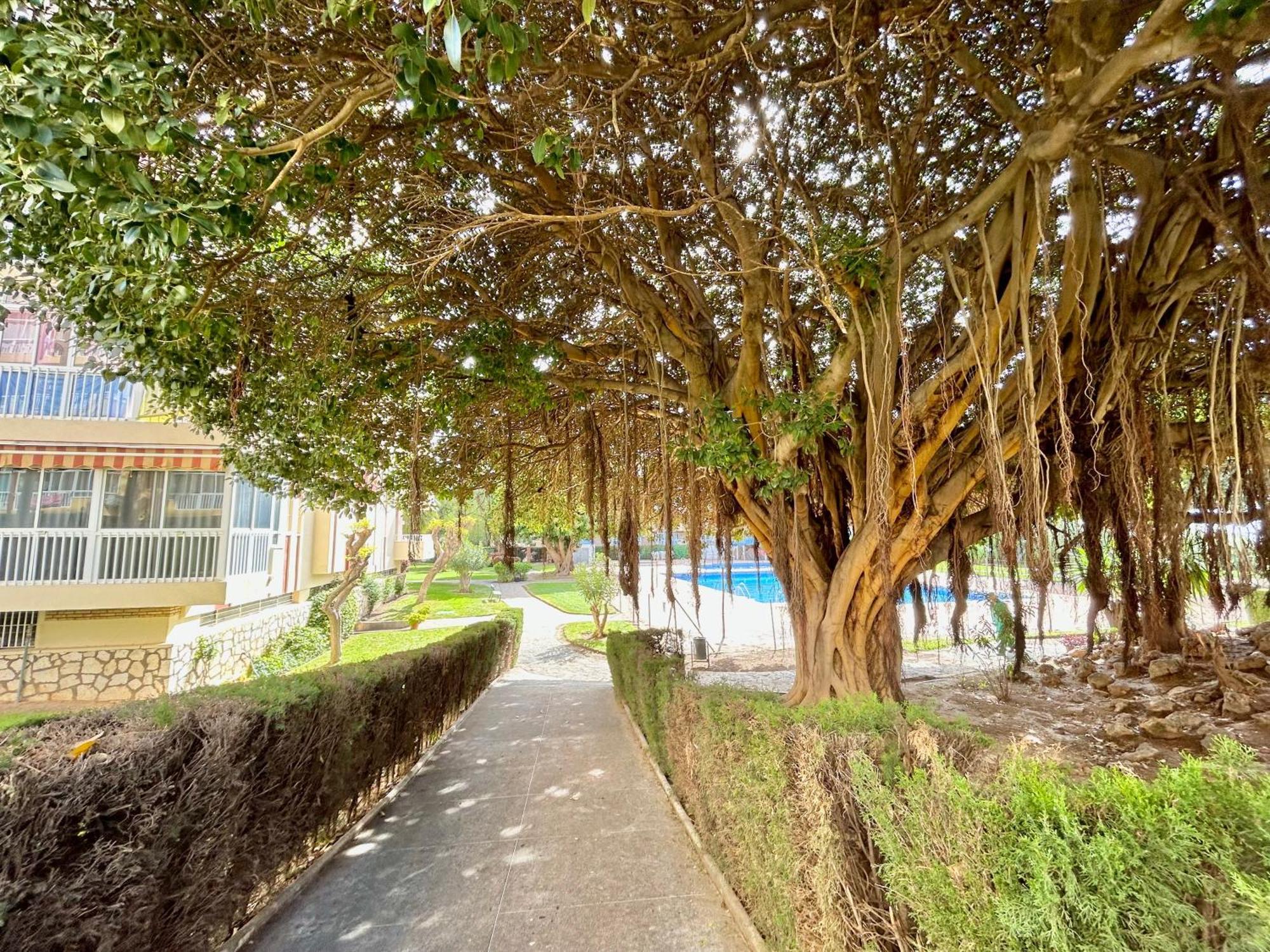 Hoja De Palma Appartement Benalmádena Buitenkant foto